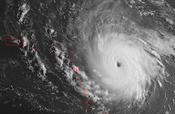 Hurricane Irma Preparations and Safety from Arwood Waste